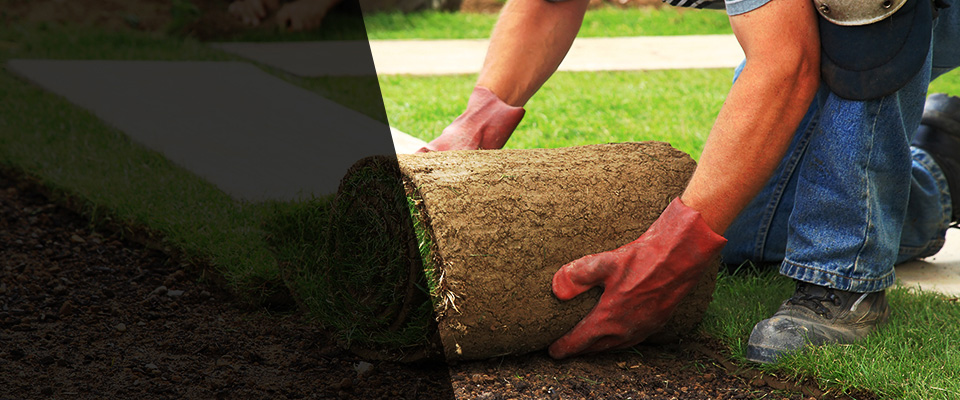 Merion Station Landscapers